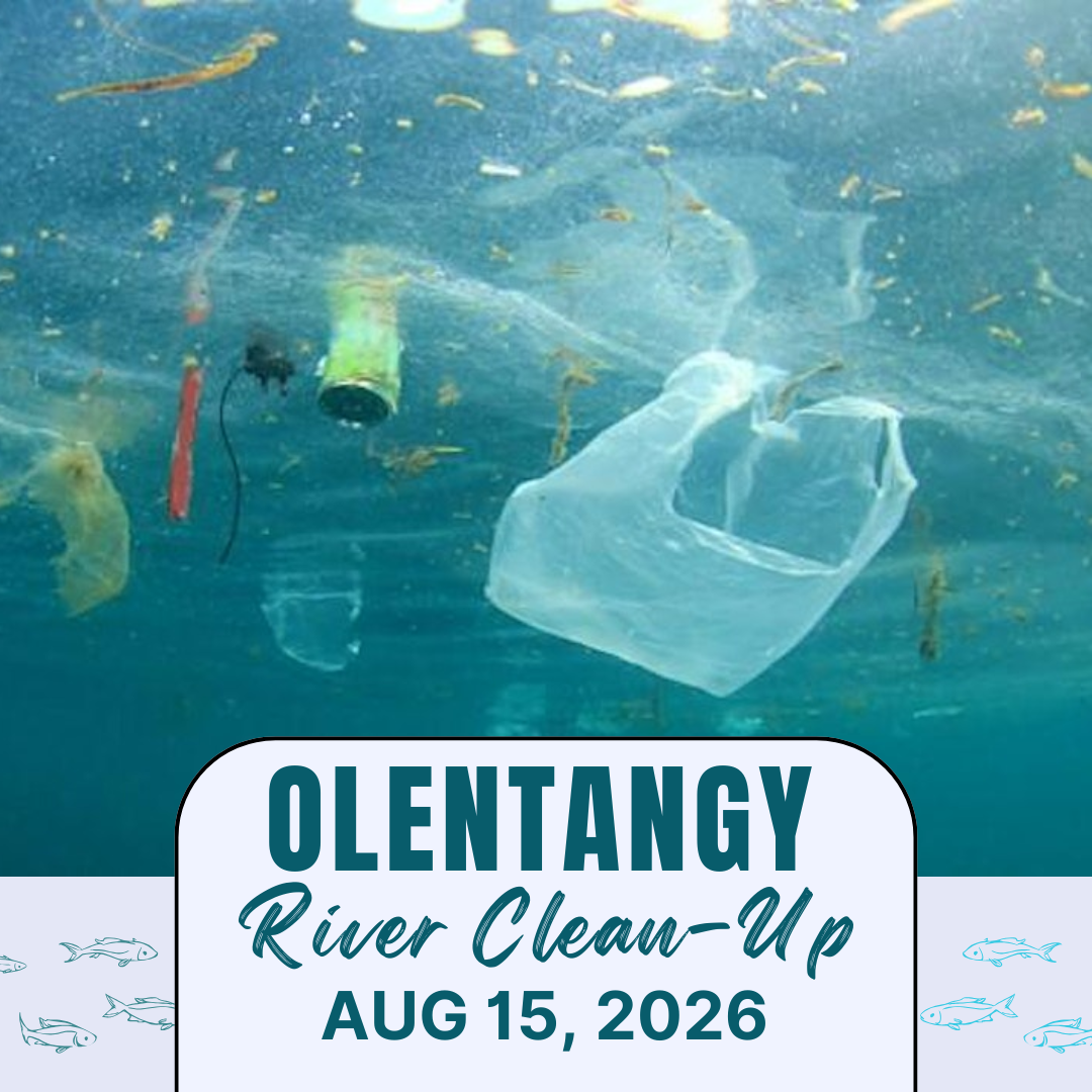 Volunteers needed for Olentangy River Clean-Up, Aug 15, South Mingo Park Canoe Launch