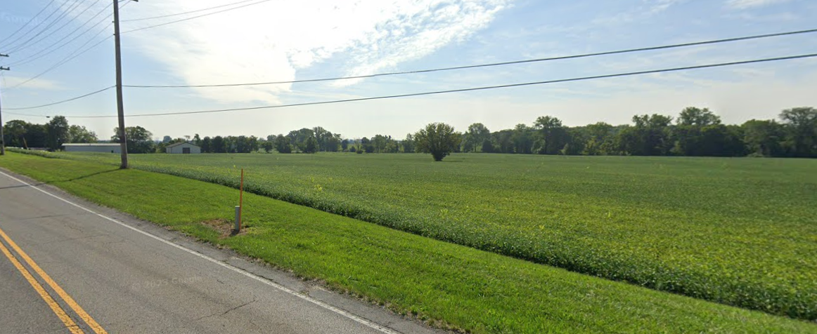 A field of grass and trees