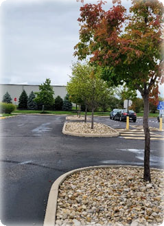 A picture containing outdoor, tree, sky, road