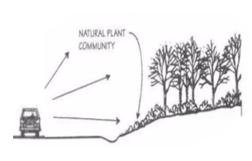 A diagram of a tree